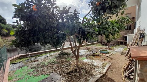 Foto 3 de Casa o chalet en venta en Arenys de Munt, Barcelona