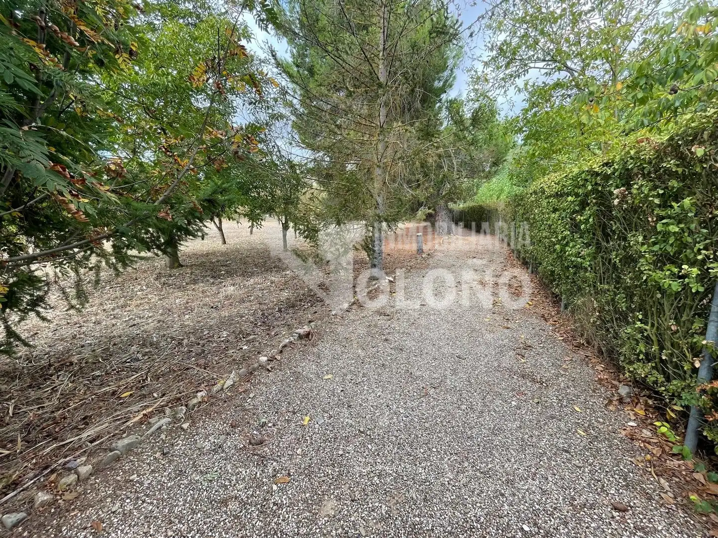 Maison rustique avec jardin à vendre à Calle Zarra 11, imagen 46