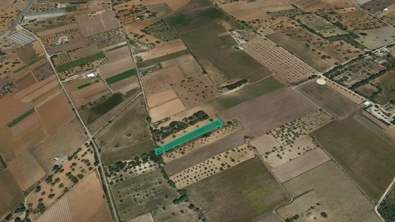 Terreno rústico en venta en Pl 11 Parc 233, imagen 3