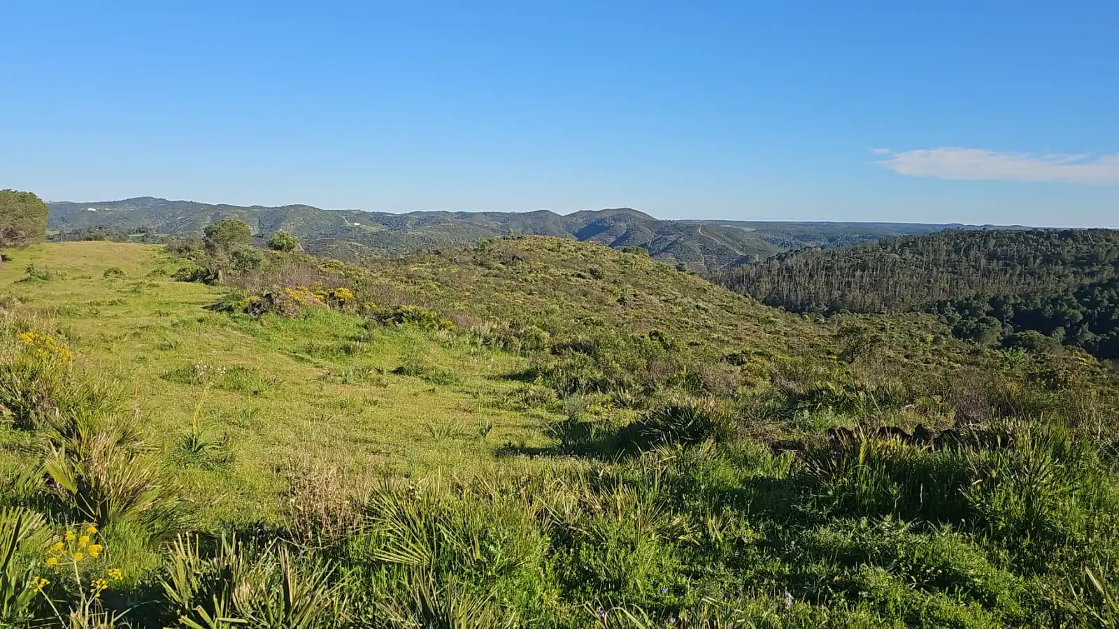 Land for sale in Calañas