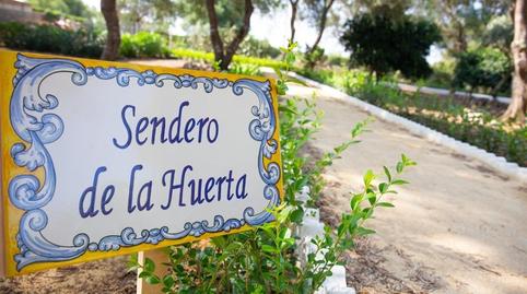 Photo 5 of House or chalet for sale in Medina Sidonia, Cádiz