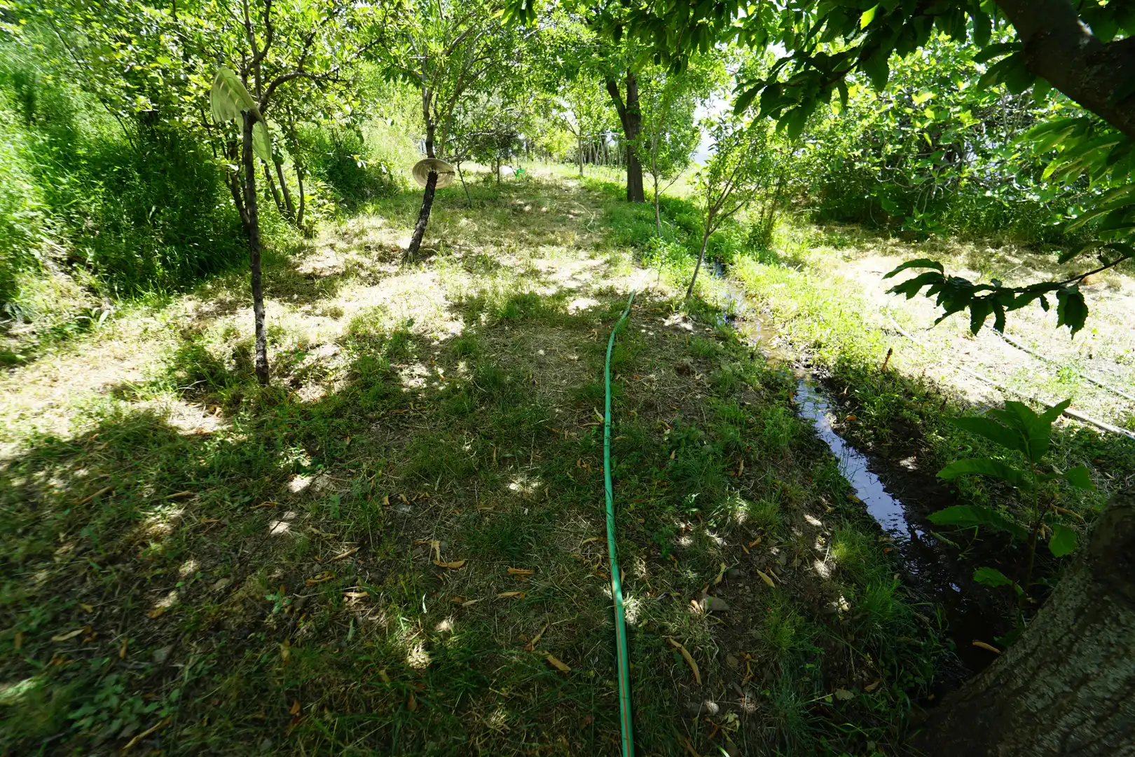 Finca rústica en venda en La Taha amb Terrassa i Moblat