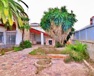 Garden of House or chalet for sale in Elche / Elx  with Private garden and Storage room