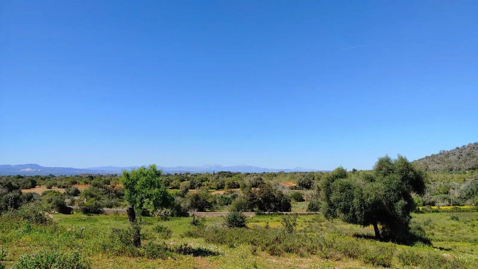 Residential land for sale in Polígono Polígono 33 Parcela 436, imagen 7