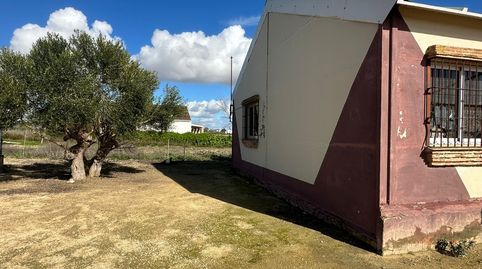 Photo 2 of Country homes for sale in Los Franceses – La Vega, Chiclana de la Frontera