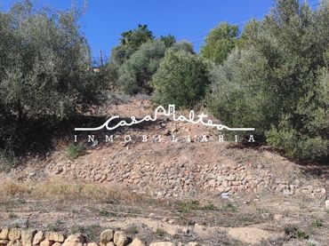 Terreny residencial en venda a Callosa d'en Sarrià