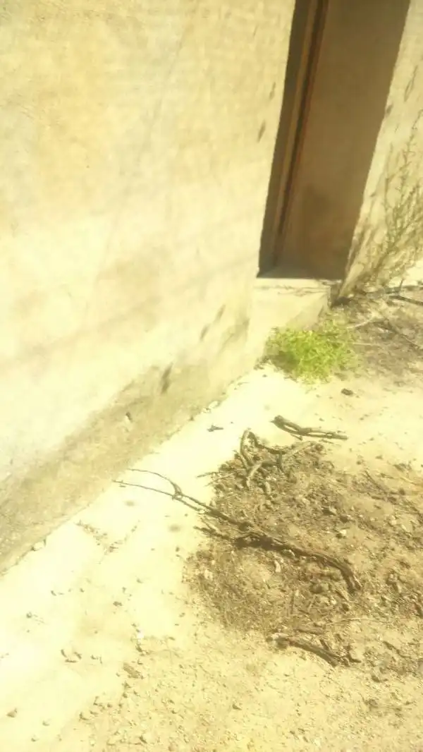 Casa rústica en venda a Algueña, imagen 15