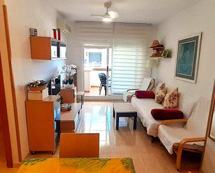 Living room of Flat for sale in Oropesa del Mar / Orpesa  with Air Conditioner, Private garden and Terrace