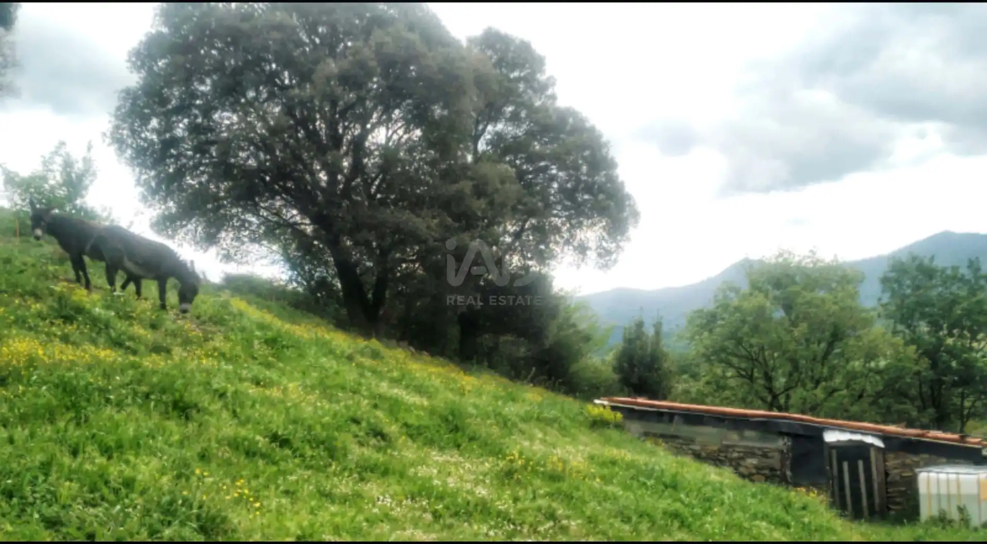 Casa o chalet en venta en Karrantza Harana / Valle de Carranza con Calefacción, Terraza y Piscina