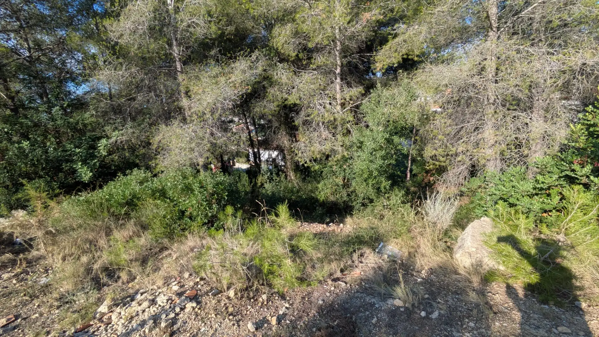 Terreny residencial en venda a Avinguda de la Generalitat, imagen 5