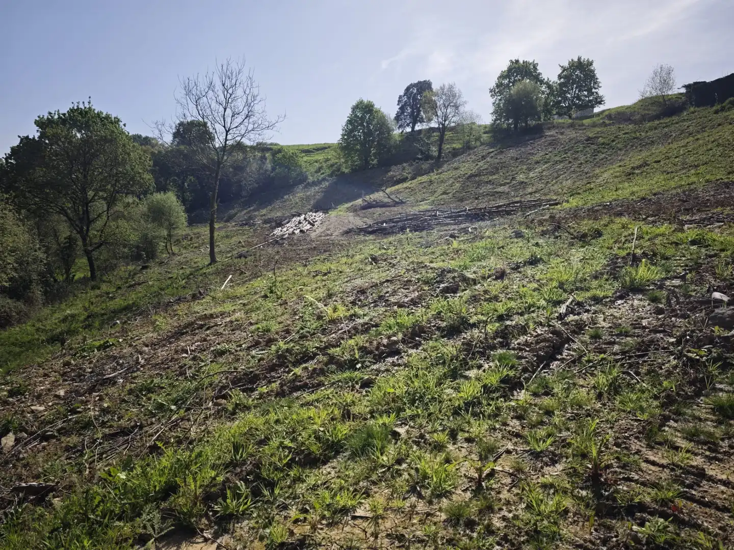 Terreni e lotti in vendita a Oruña, imagen 5