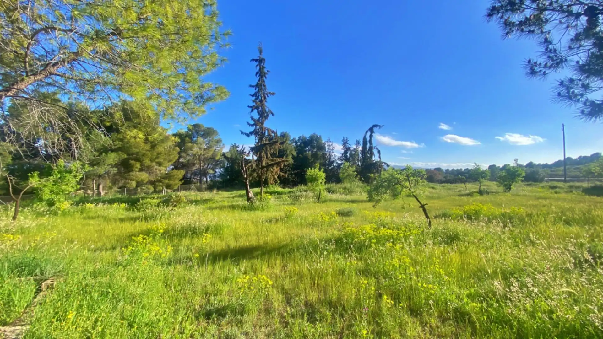 Casa o xalet en venda en Totana amb Jardí privat i Moblat