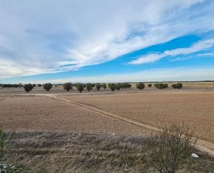 Terreny industrial en venda a Sitio Los Pulgosos, Zona Industrial Borreguno - Camporrosso