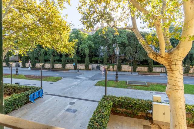 Oficina en Alquiler en Avenida d'Antoni Maura en La Llotja - Born