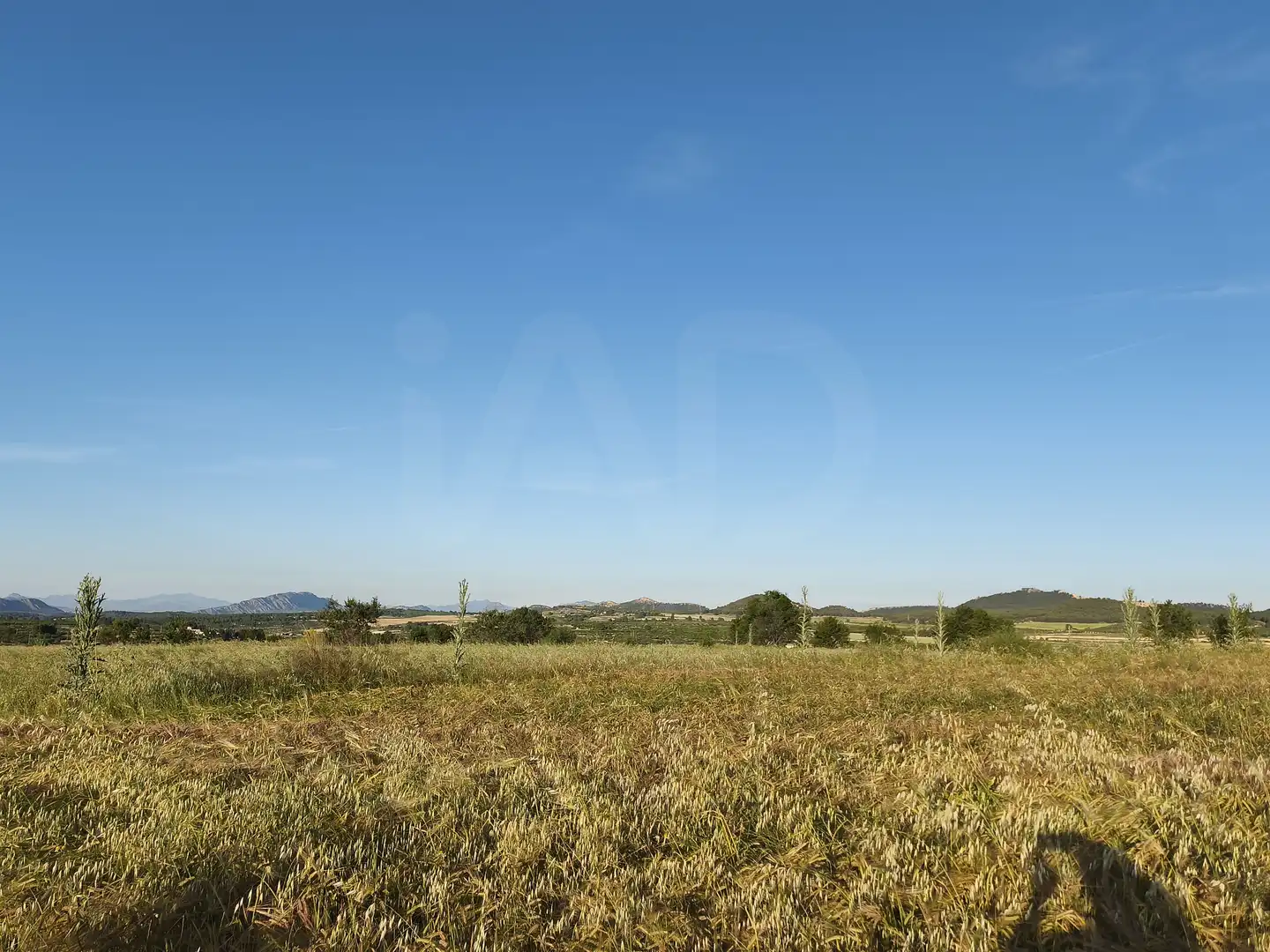 Terreno rustico in vendita a Moratalla, imagen 18