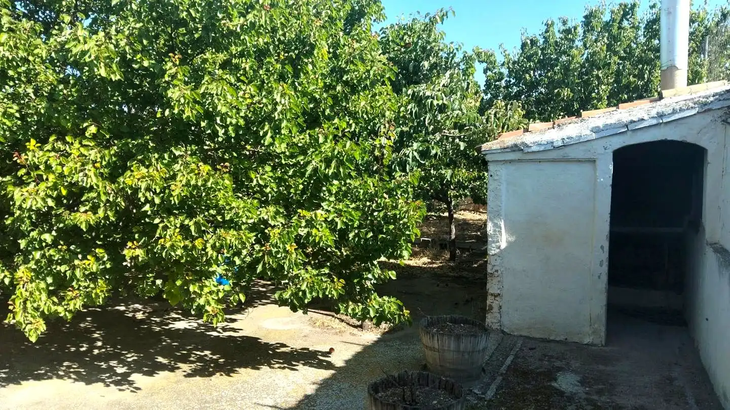 Garden of Detached homes for sale in Torrelacárcel  with Heating and Storage room