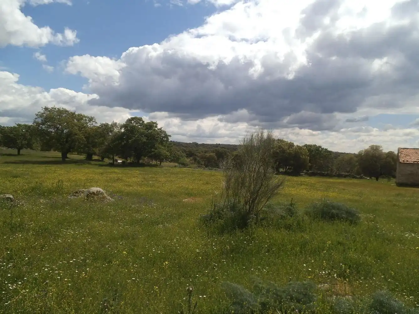 Residencial en venda en Valdemorillo