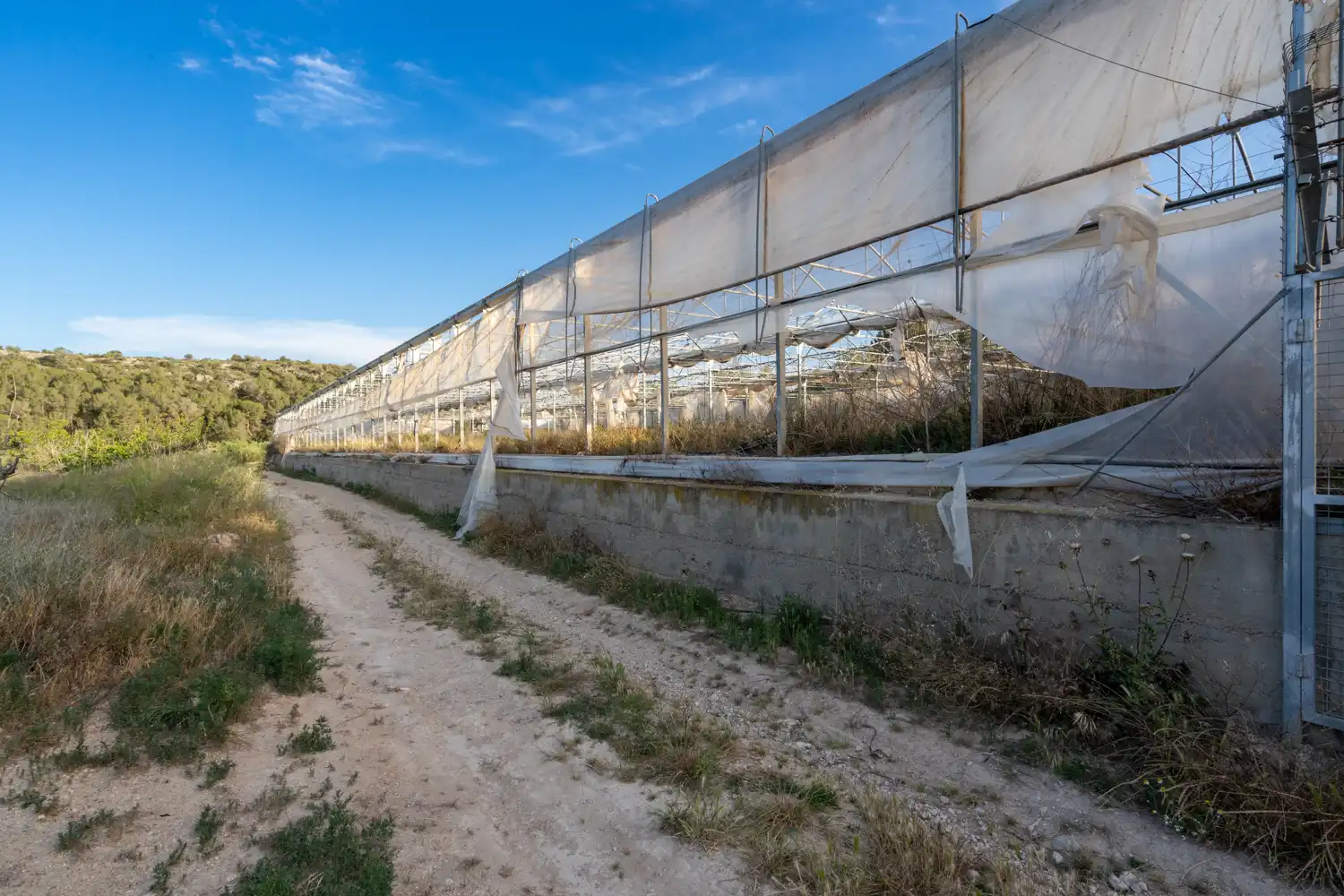 Exterior view of Land for sale in El Pinell de Brai