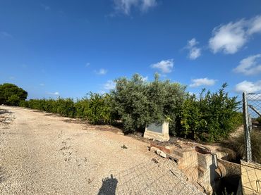 Rustikales Grundstück zum Verkauf in Camino Viejo de Elche a Santa Pola 11