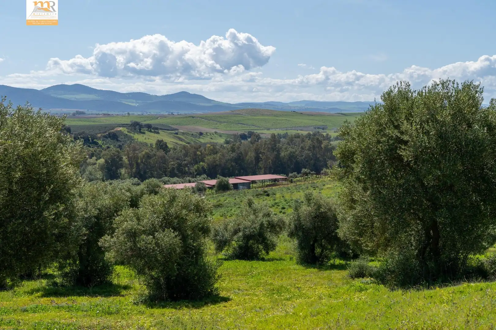 Finca rústica en venta en Prado del Rey