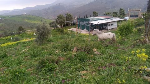 Preciosa parcela con apero en Carratraca.