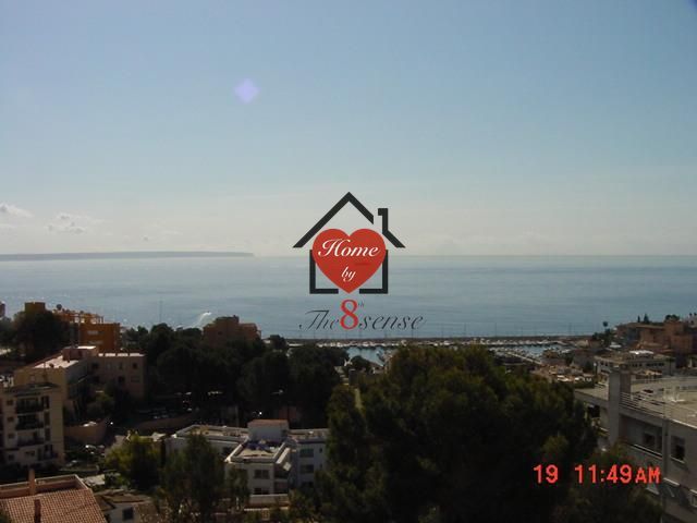 Vista exterior de Estudi en venda en  Palma de Mallorca amb Balcó i Piscina comunitària