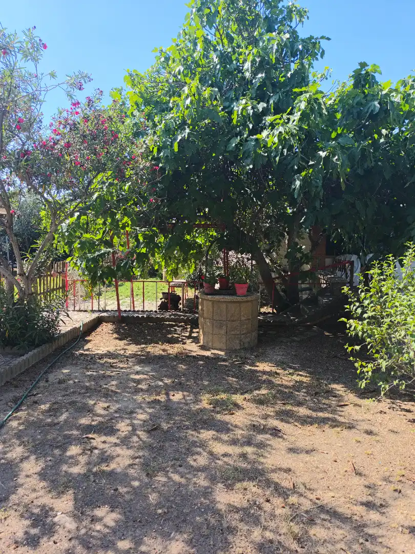 Jardí de Casa o xalet en venda en Cadrete amb Aire condicionat, Jardí privat i Terrassa