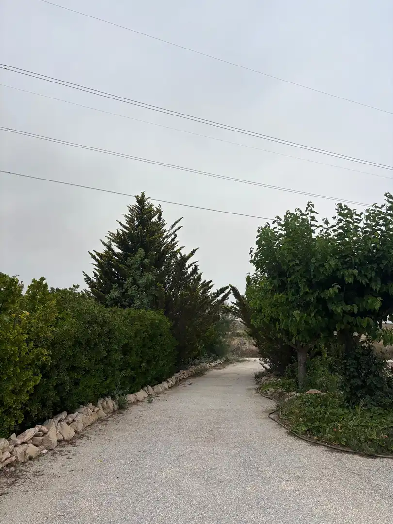 Maison rustique à vendre à Monóvar  / Monòver, imagen 13