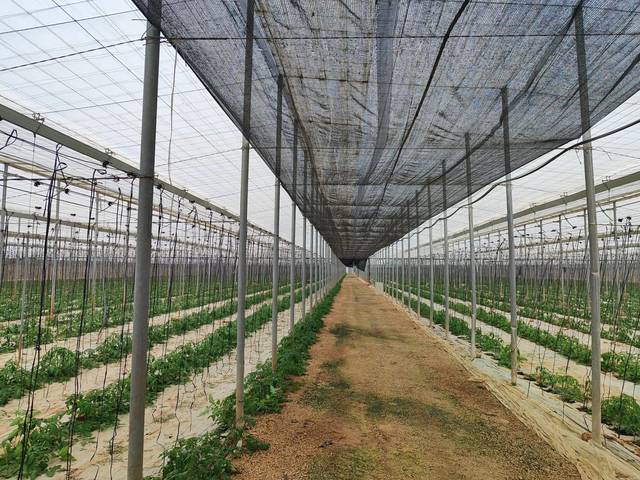 Terreno residencial en Venta en San Isidro - Campohermoso