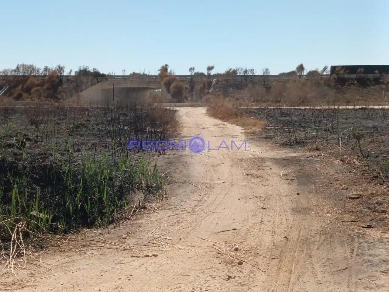 Lands and plots for sale in carretera, imagen 7