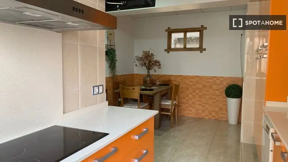 Kitchen of Flat for share in Alicante / Alacant  with Air Conditioner, Terrace and Furnished
