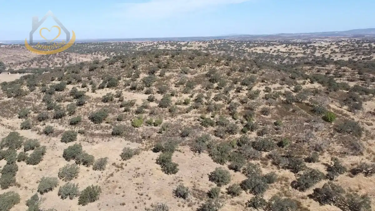 Terreni e lotti in vendita a Puebla de Guzmán, imagen 5