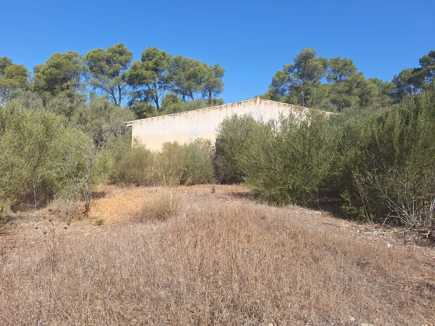 Terreno rustico in vendita a Algaida, imagen 8