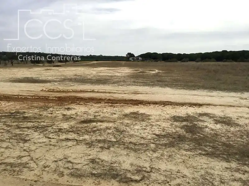 Casa rústica en venda a Almonte ciudad, imagen 36