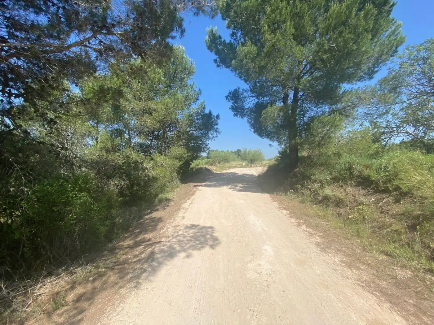 Terreno rustico in vendita a POLÍGONO 10 PARCELA 493, imagen 29
