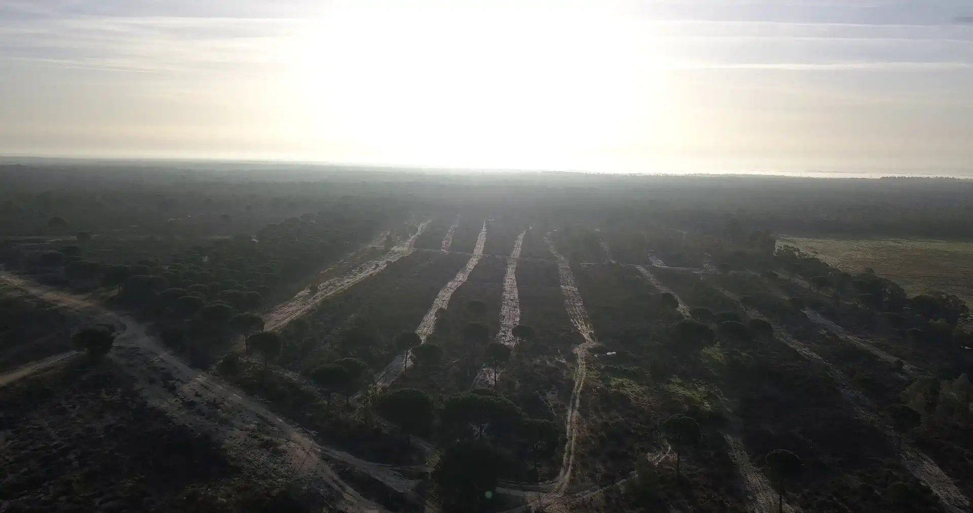 Finca rústica en venda en Almonte