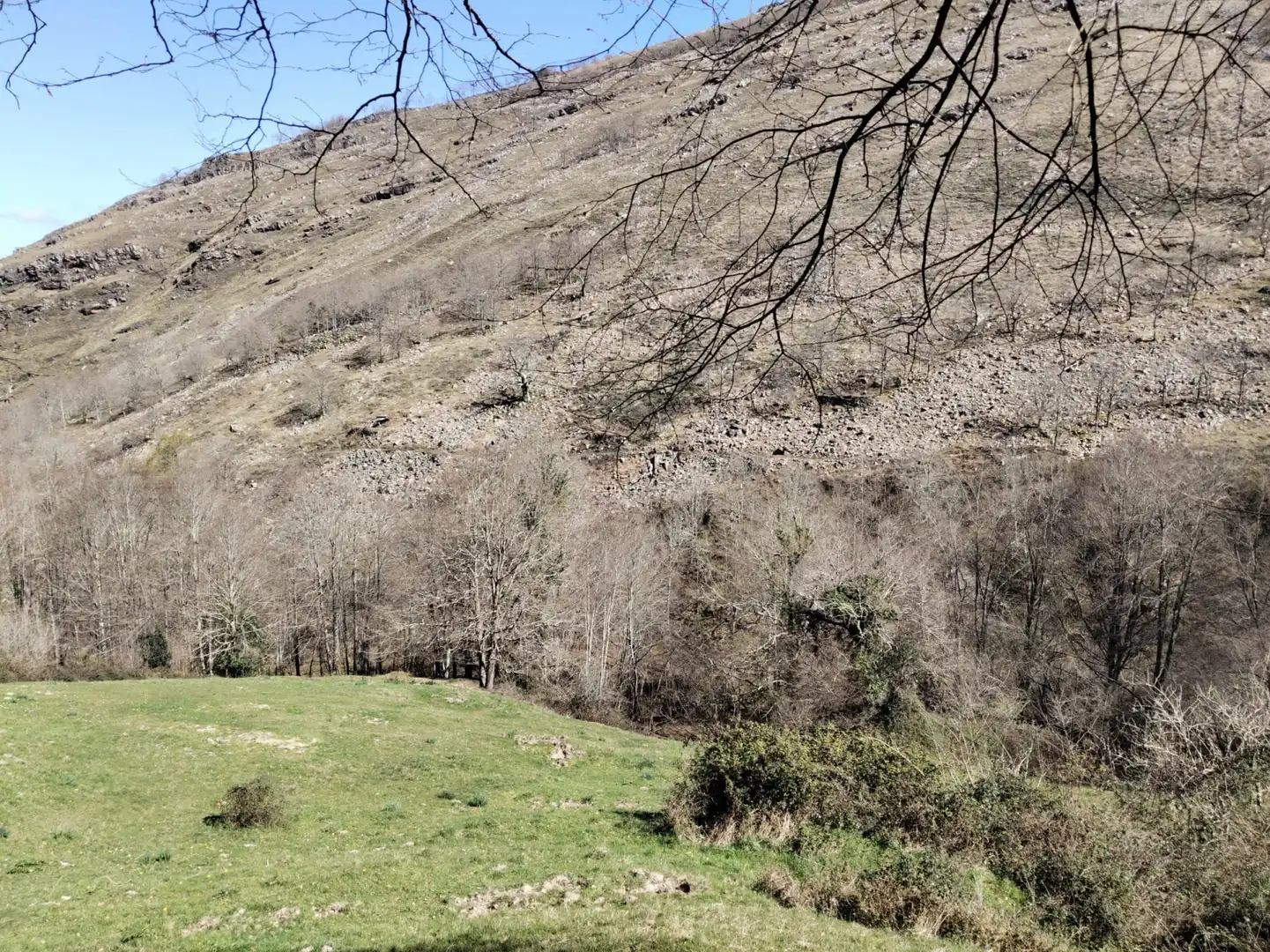 Commercial properties for sale in Peñamellera Baja