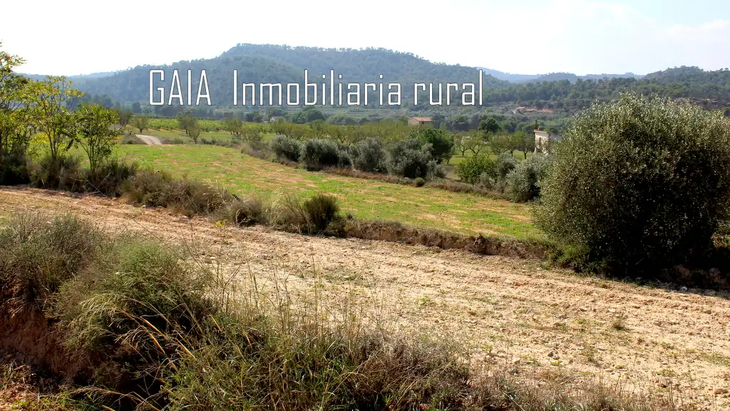 Finca rústica en venda en Batea
