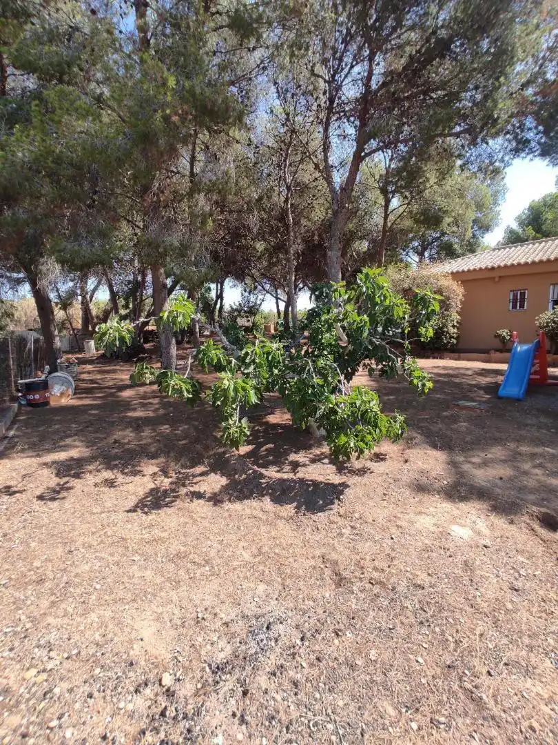 Casa o xalet en venda en Náquera amb Terrassa, Traster i Piscina