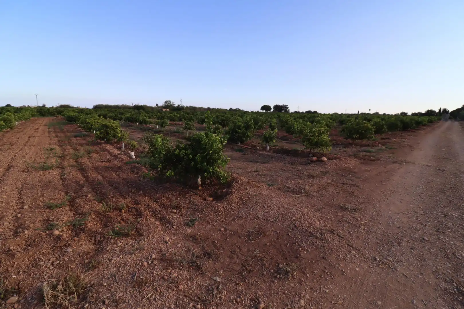 Terreny en venda en Vinaròs