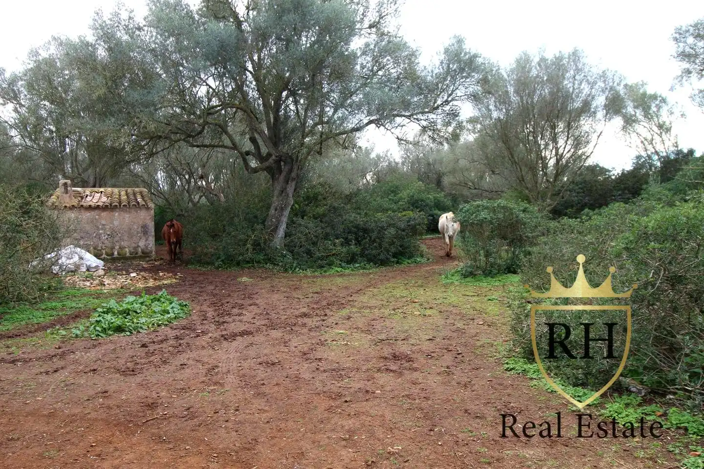 Lands and plots for sale in POLIGONO 49 PARCELA 3
