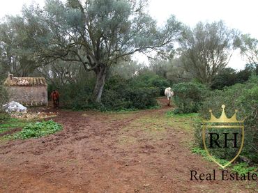 Lands and plots for sale in POLIGONO 49 PARCELA 3