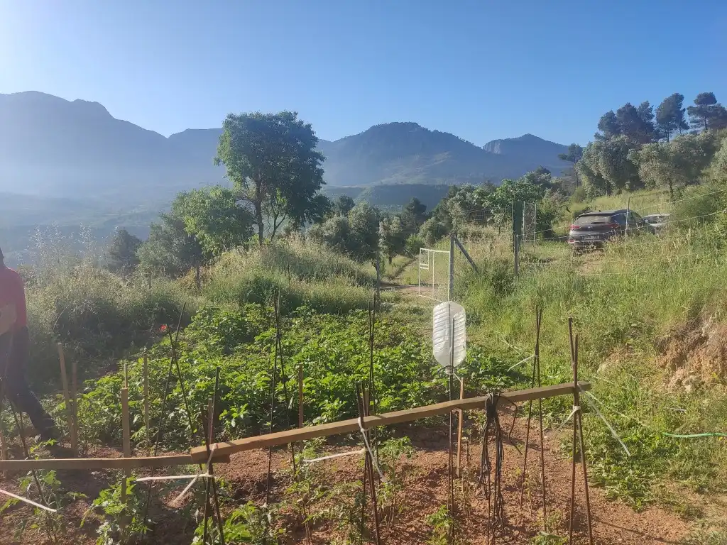 Rural land for sale in Horta de Sant Joan