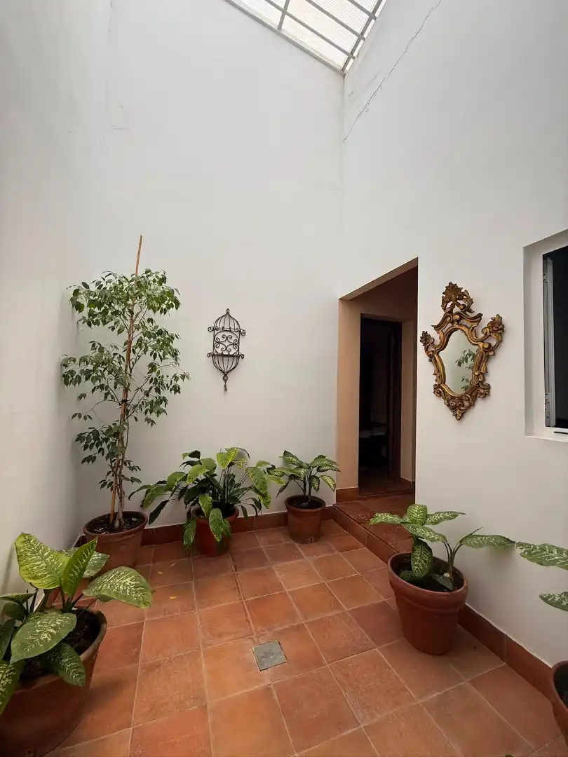 Chalet con piscina en venta en Carretera Olivares, imagen 31