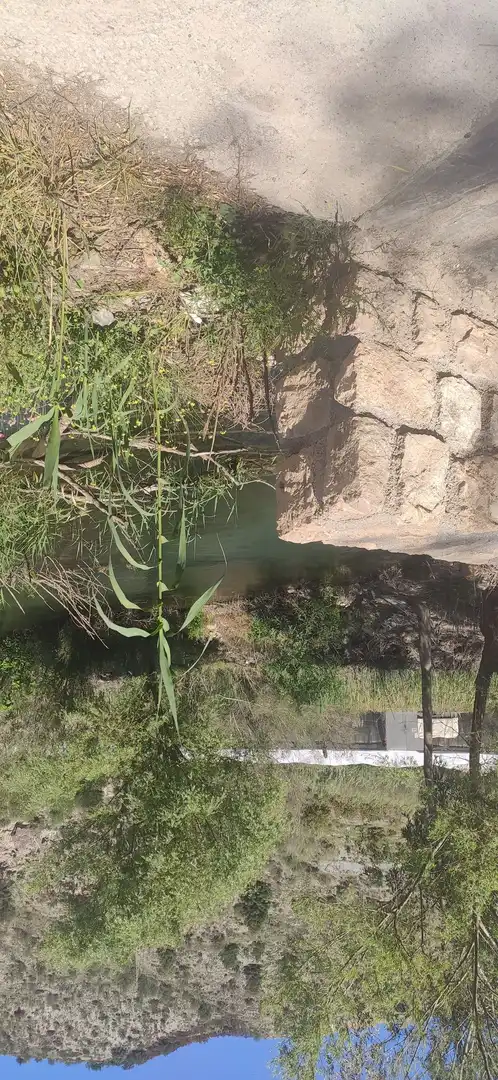 Grundstücke zur Miete in Calle Vélez de Benaudalla, Motril ciudad