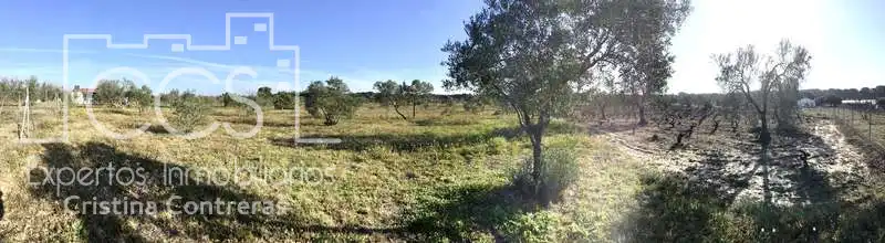 Finca rústica en venta en Almonte