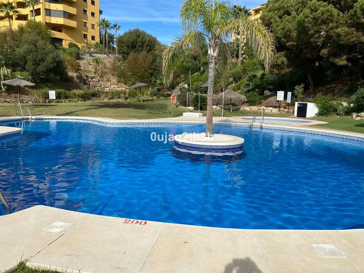 Piscina de Apartament en venda en Selwo