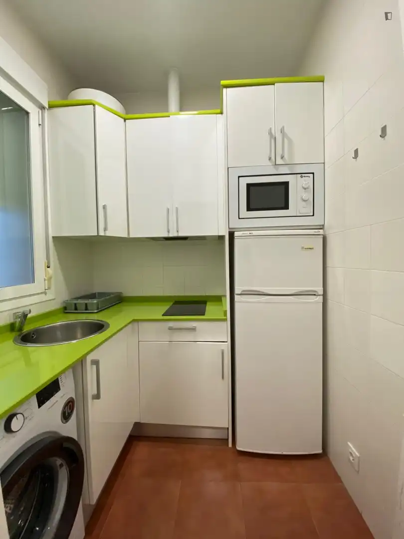Wohnung zur Miete in Embajadores - Lavapiés