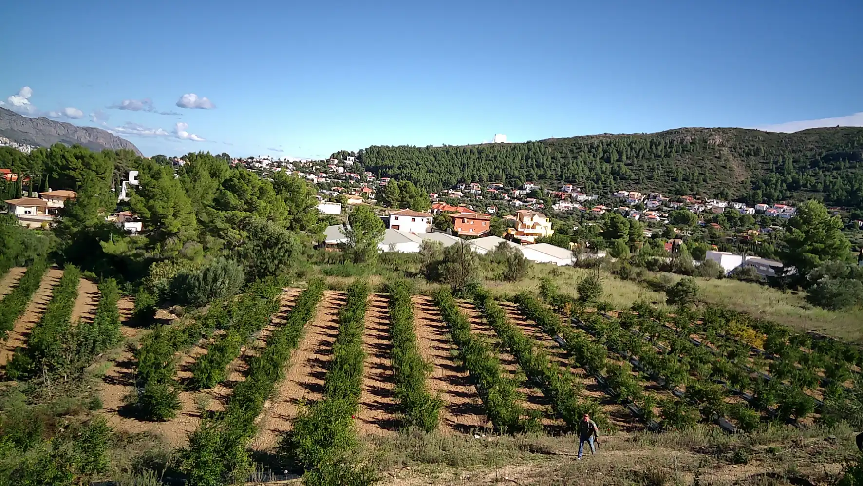 Terreno residenziale in vendita a Calles, imagen 2