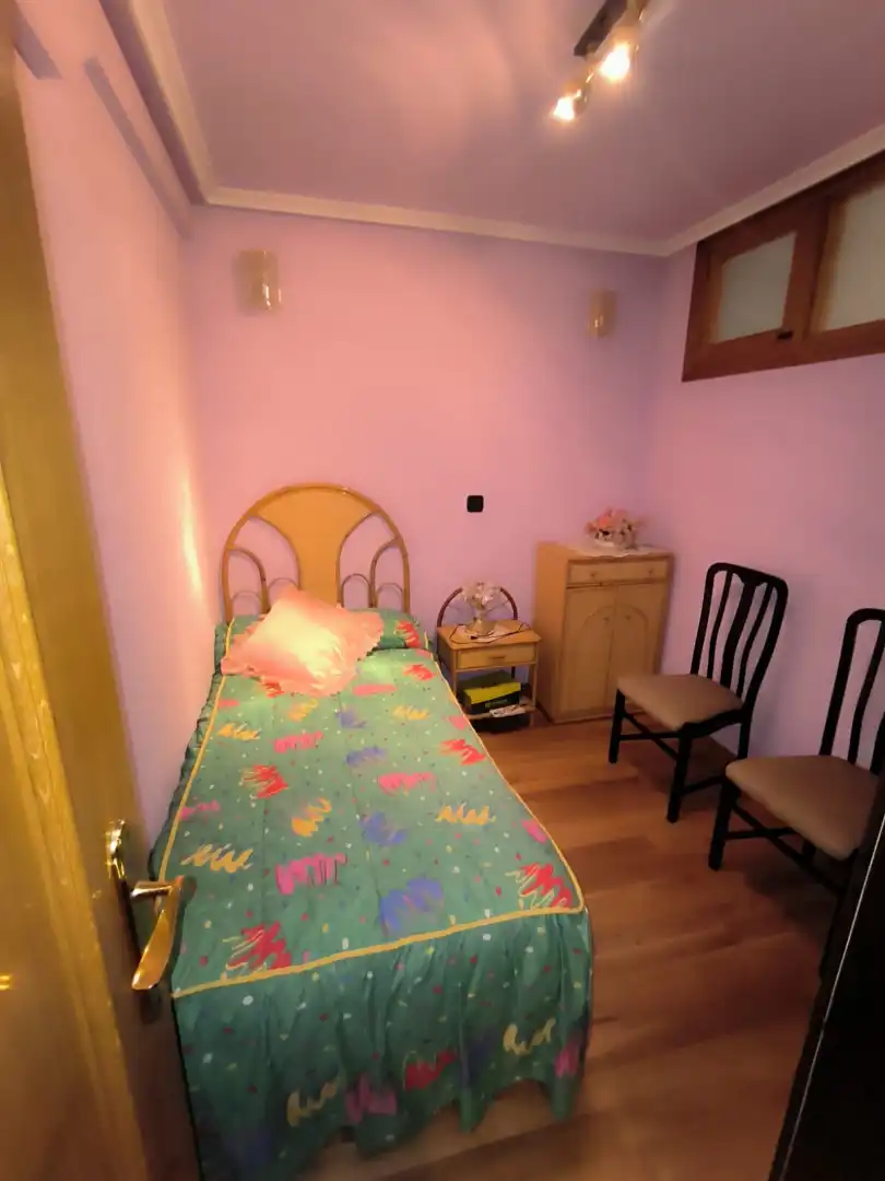 Wohnung zum Verkauf in Casco Antiguo, imagen 10